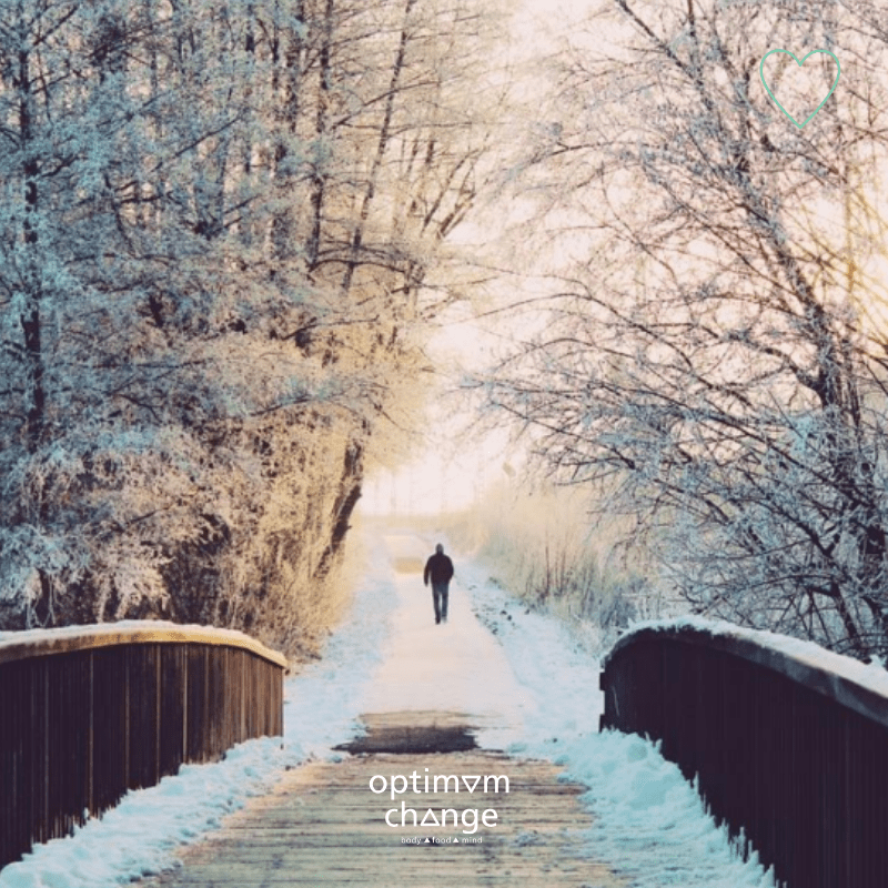 Winterdip ebook